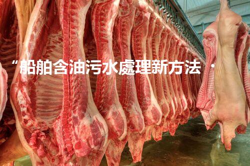 “船舶含油污水處理新方法，綠色航行守護海洋生態(tài)之美”